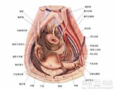  　得了盆腔炎还能同房吗?