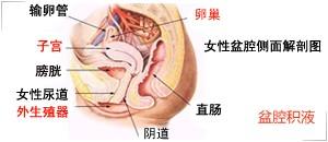 患盆腔炎3年,经常腰骶酸痛专家教你几招应对